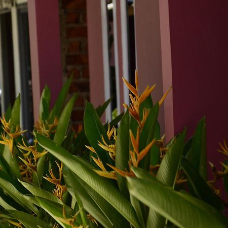סורונג Baronda Guest House מראה חיצוני תמונה